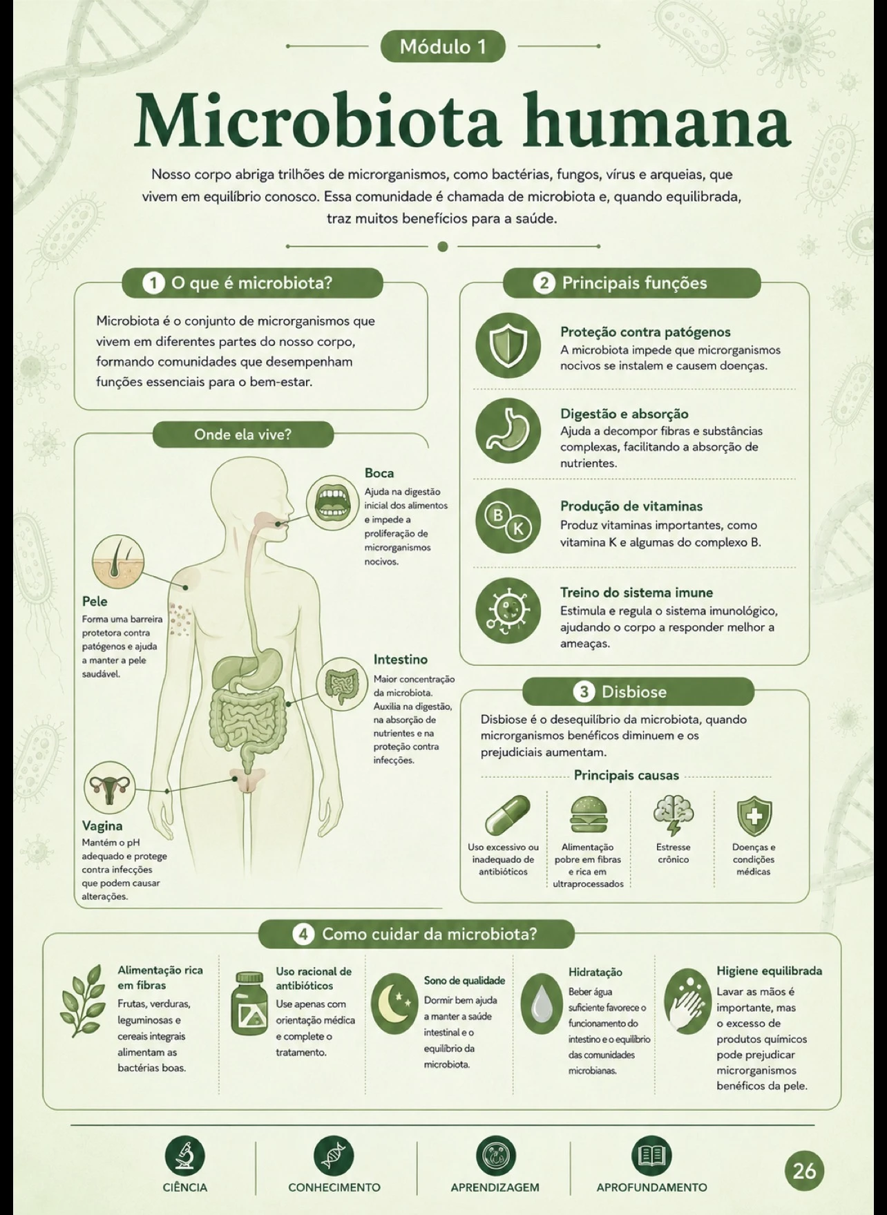 Microbiota humana