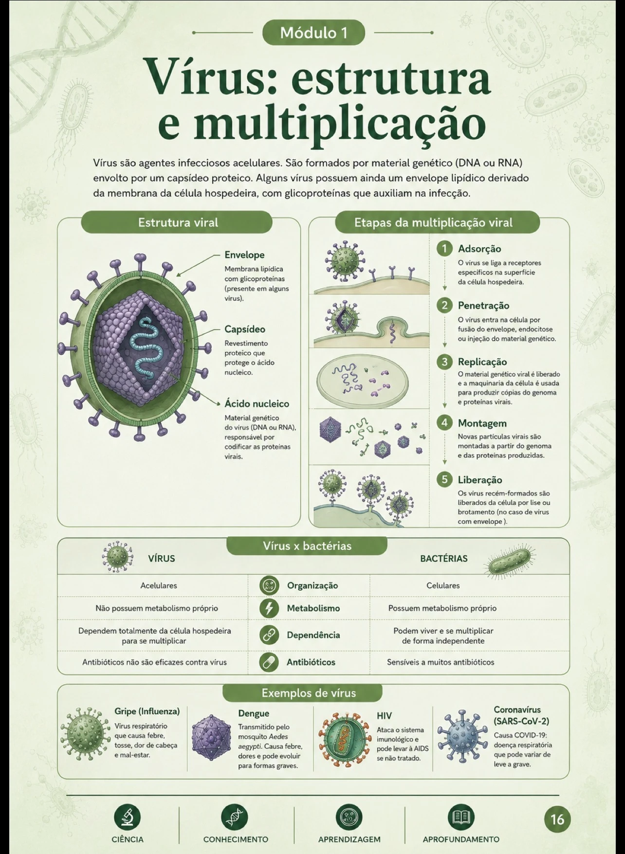 Vírus: estrutura e multiplicação